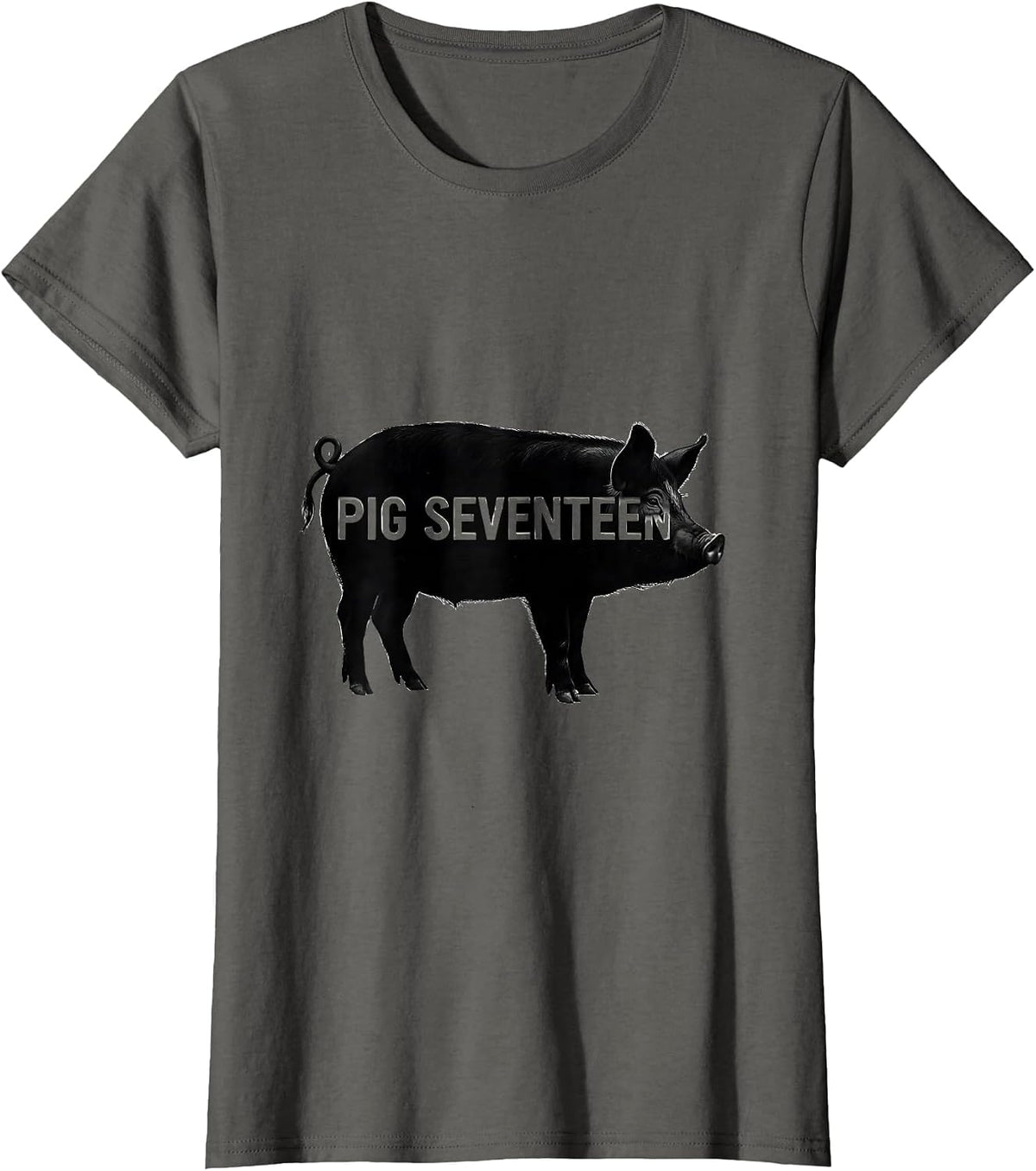 Women's Pig Seventeen Minimalist Pig Lover Novelty Humor T-Shirt - Asphalt Grey