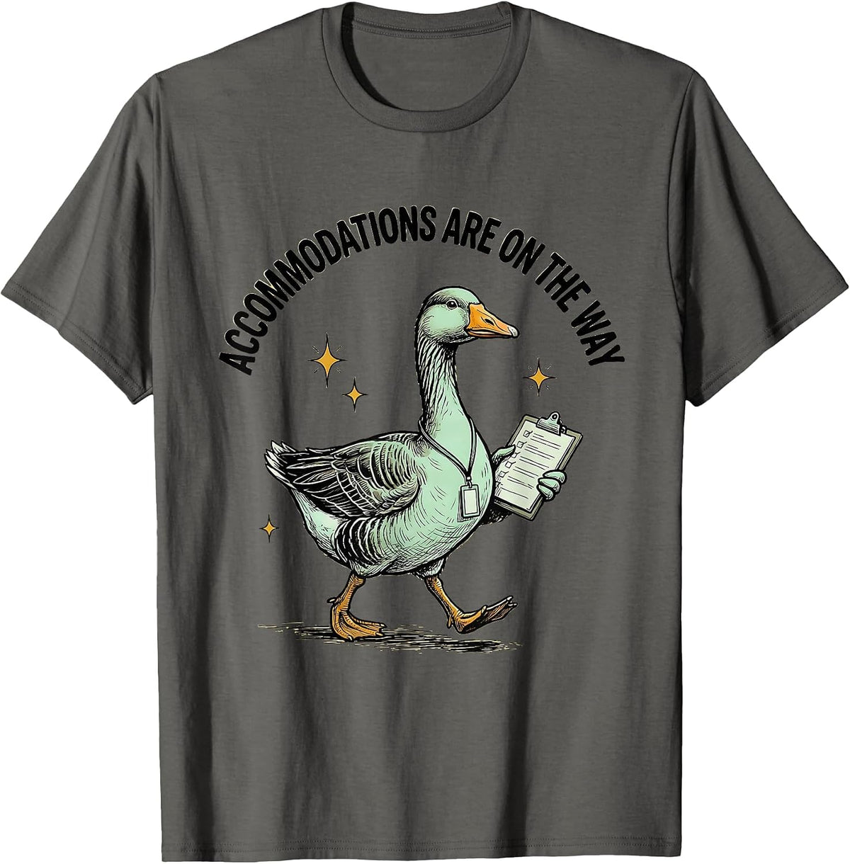 Accommodations Are On The Way Silly Goose Special Education T-Shirt - Asphalt Grey