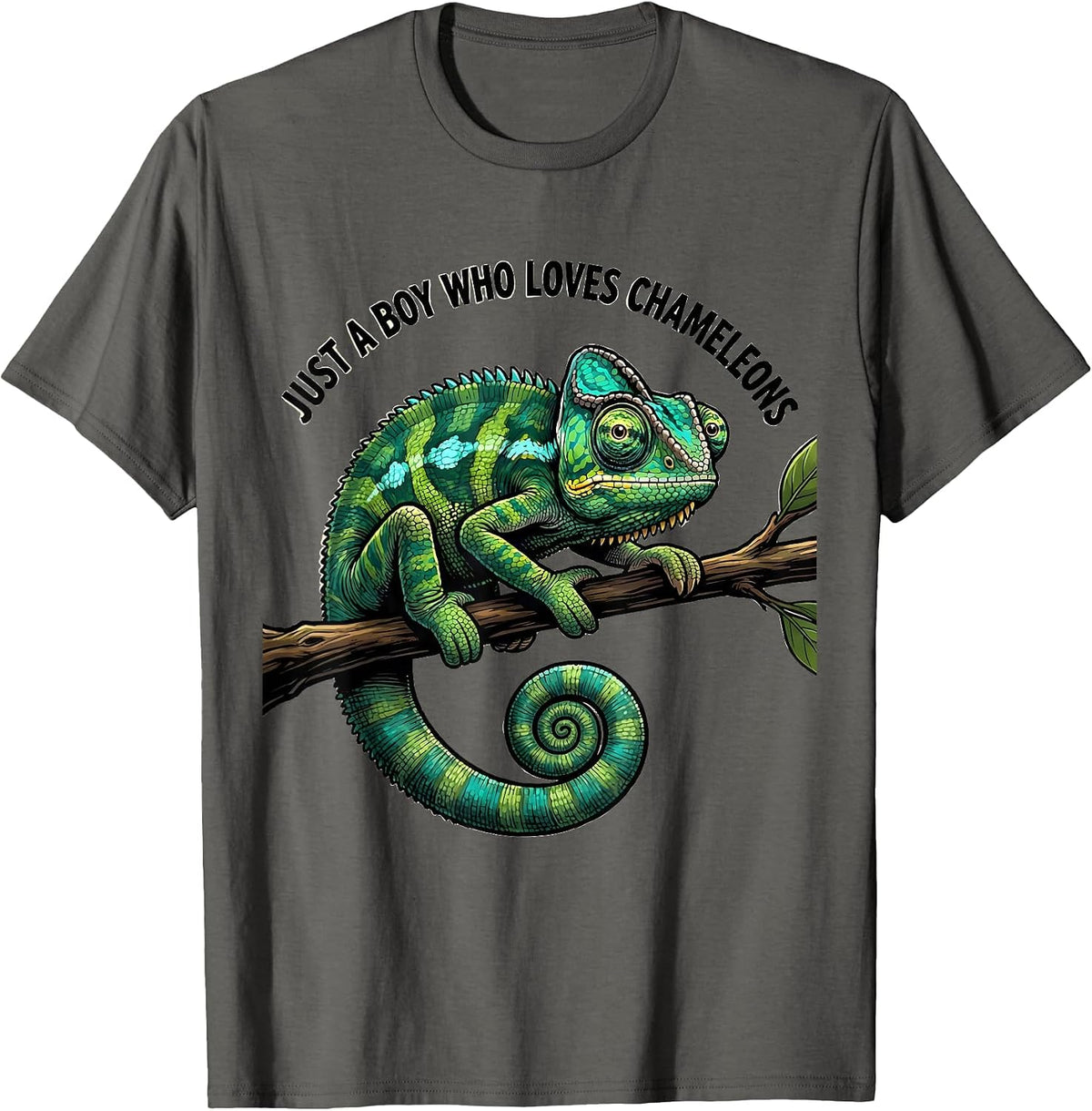 Men's Just A Boy Who Loves Chameleons Funny Reptile Lover Cartoon T-Shirt - Asphalt Grey