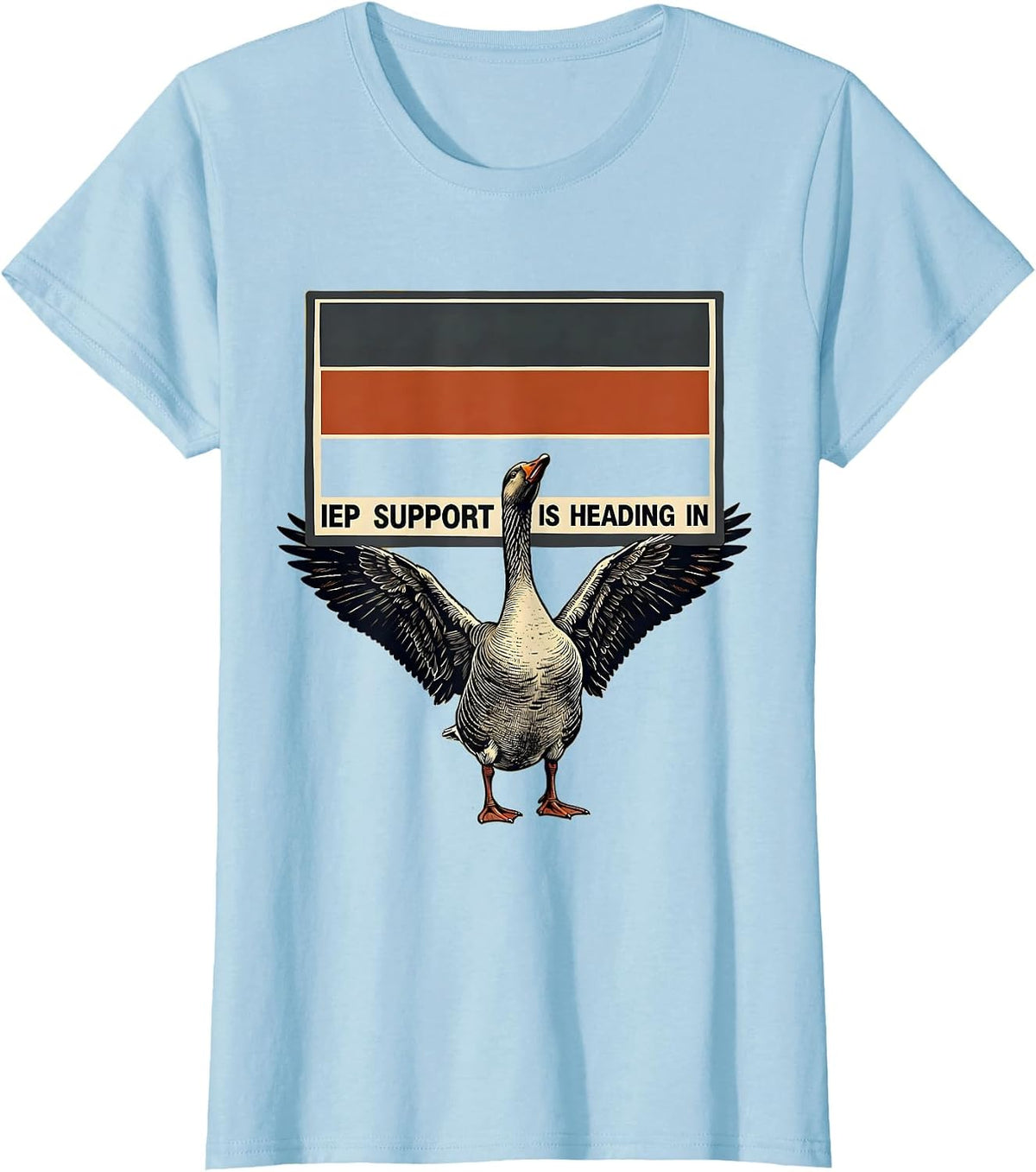 Women's IEP Support Is Heading In Silly Goose Special Education T-Shirt - Baby Blue