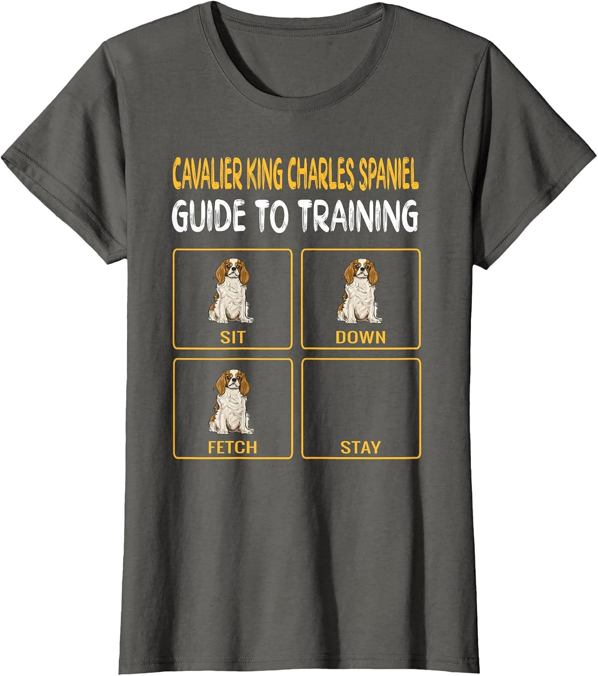 Cavalier King Charles Spaniel Guide to Training Dog Trainer T-Shirt - Asphalt Grey