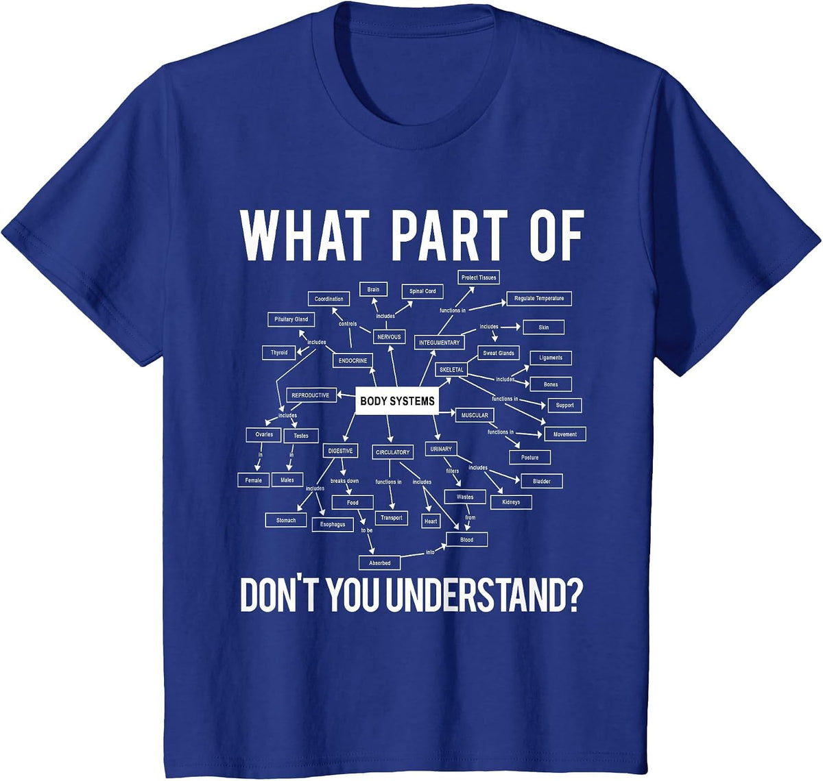What Part of Don't You Understand Funny Anatomy Professor T-Shirt - Royal Blue