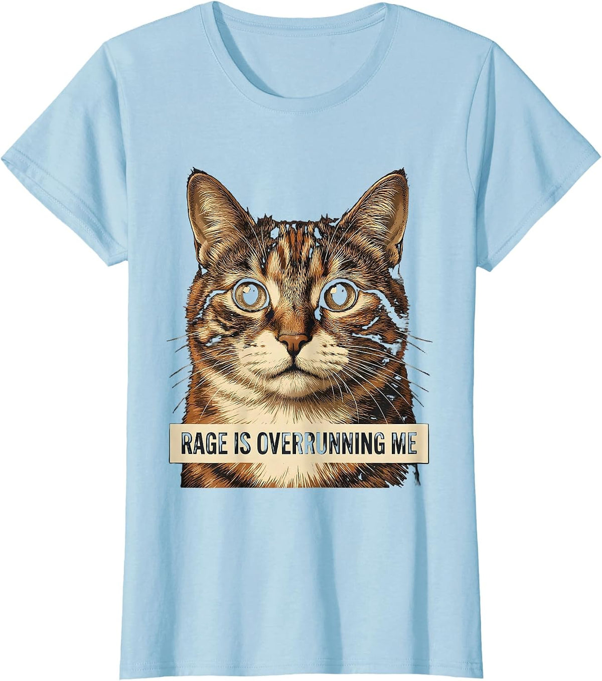 Rage Is Overrunning Me Funny Silly Staring Cat Meme Cat T-Shirt - Baby Blue