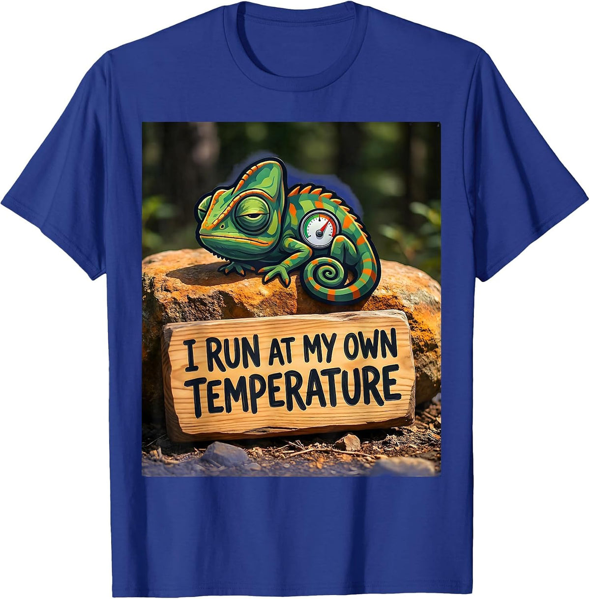 I Run At My Own Temperature Funny Autism Meme Autistic T-Shirt - Royal Blue