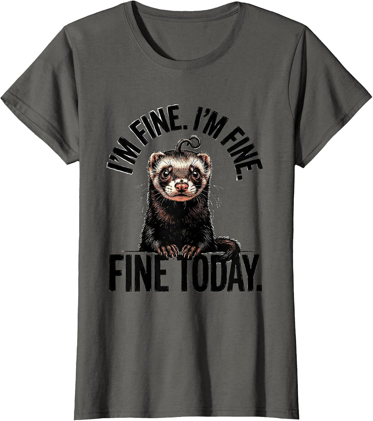 I'm Fine. I'm Fine. Fine Today Funny Ferret Stress Humor T-Shirt, Women, Asphalt Grey, Large - As Pictured