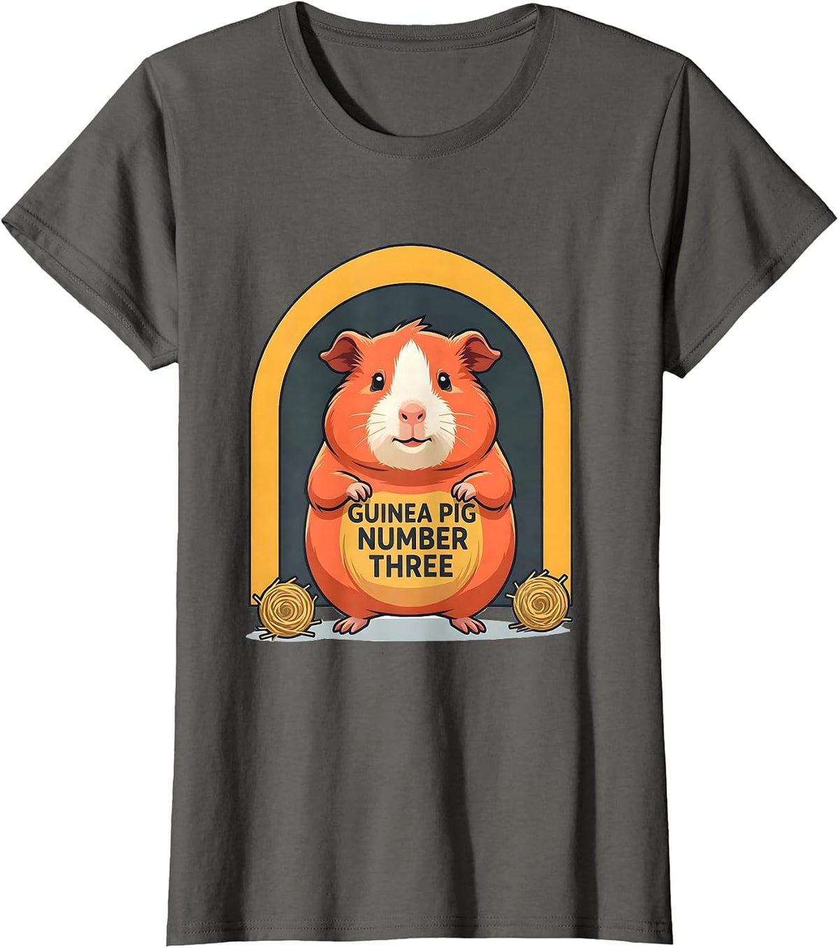 Women's Guinea Pig Number Three Flat Vector Pet Lover Humor T-Shirt - Asphalt Grey