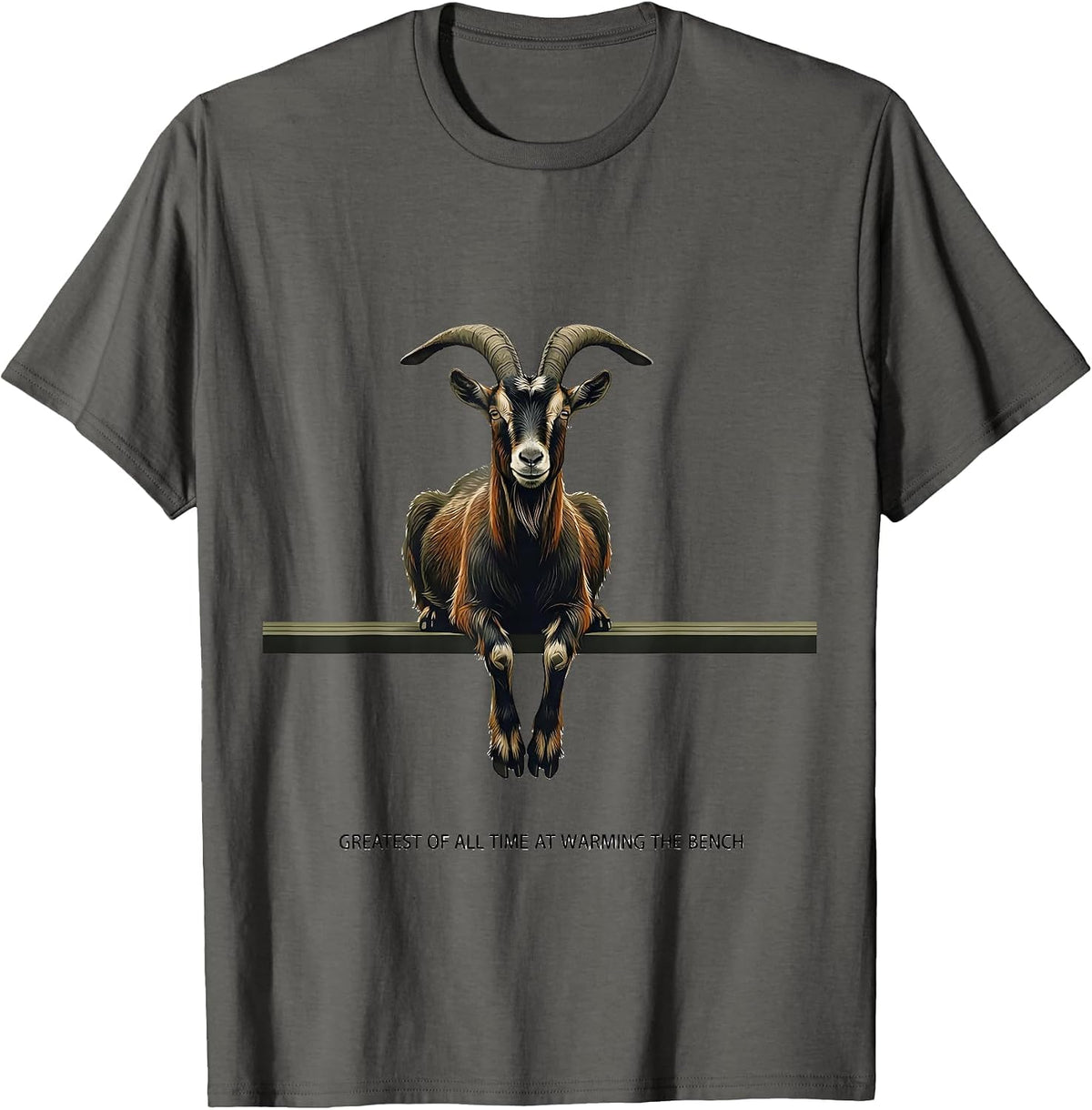 Greatest Of All Time At Warming The Bench Funny T-Shirt - Asphalt Grey