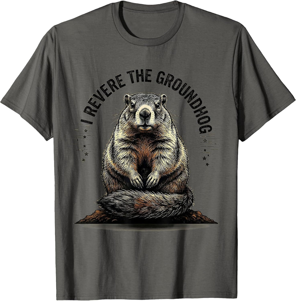 Men's I Revere The Groundhog Distressed Funny Groundhog Day Gift T-Shirt - Asphalt Grey