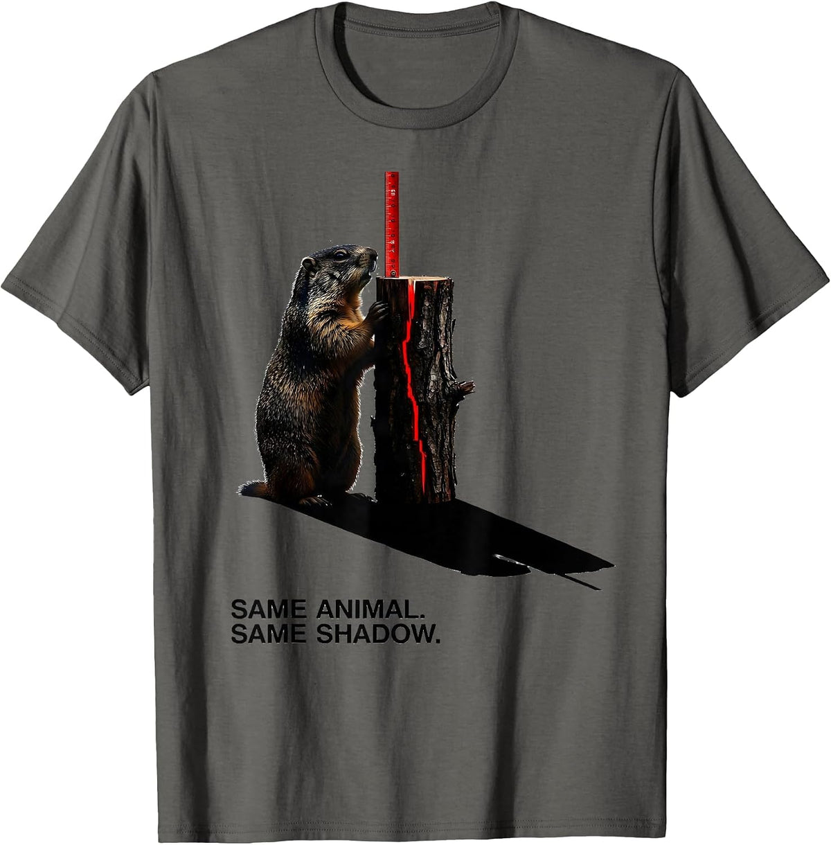 Same Animal Same Shadow Funny Groundhog Day Woodchuck Humor T-Shirt - Asphalt Grey