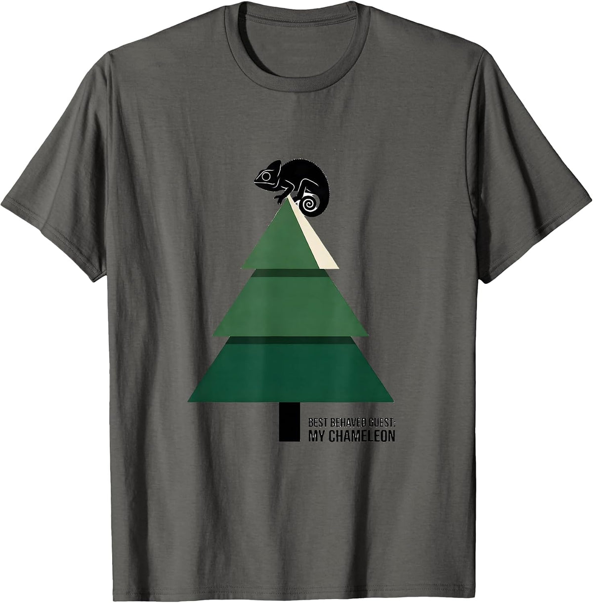 Best Behaved Guest My Chameleon Funny Reptile Keeper T-Shirt - Asphalt Grey