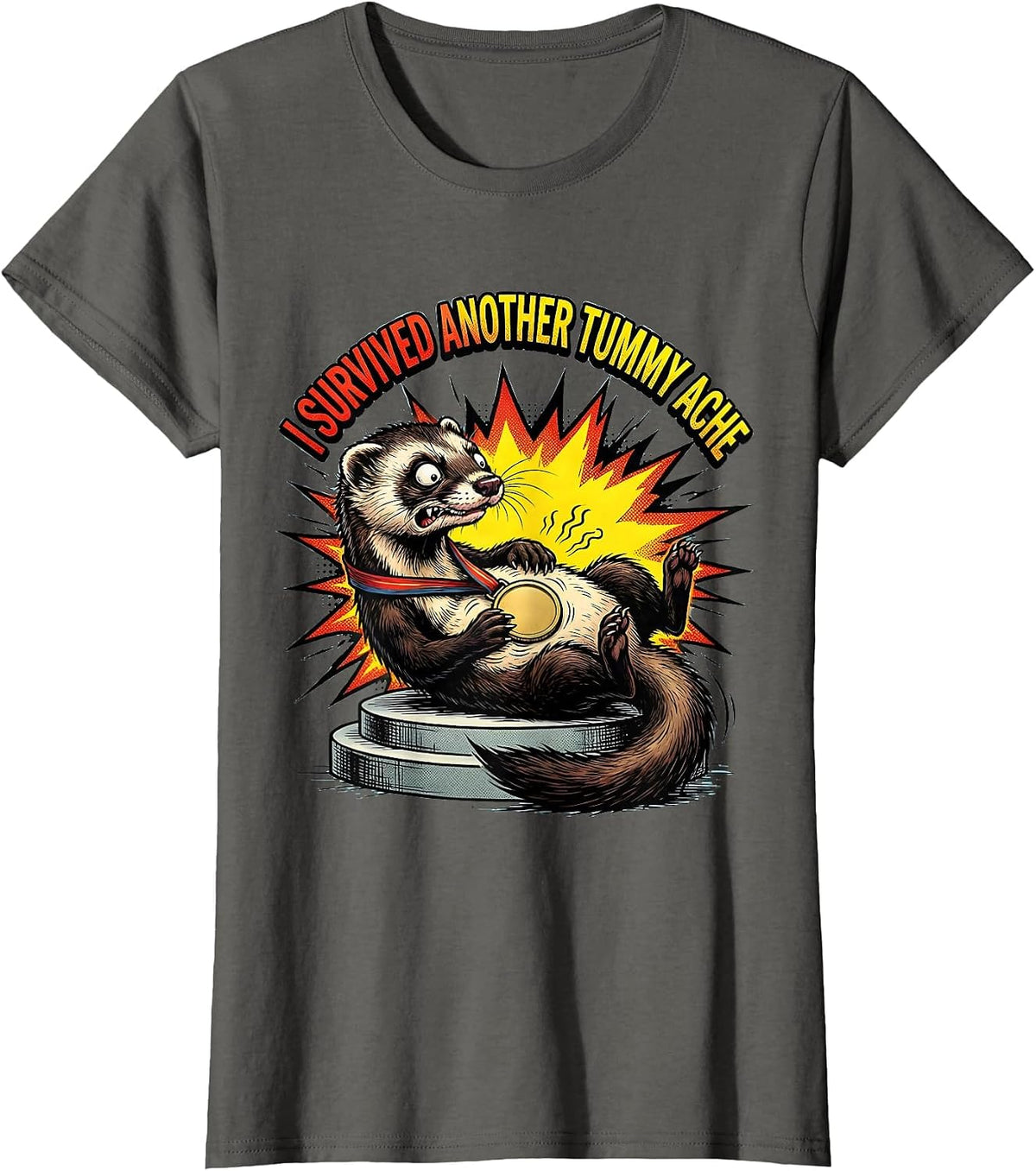I Survived Another Tummy Ache Funny Ferret Meme Humor T-Shirt, Women, Asphalt Grey, 3X-Large - As Pictured