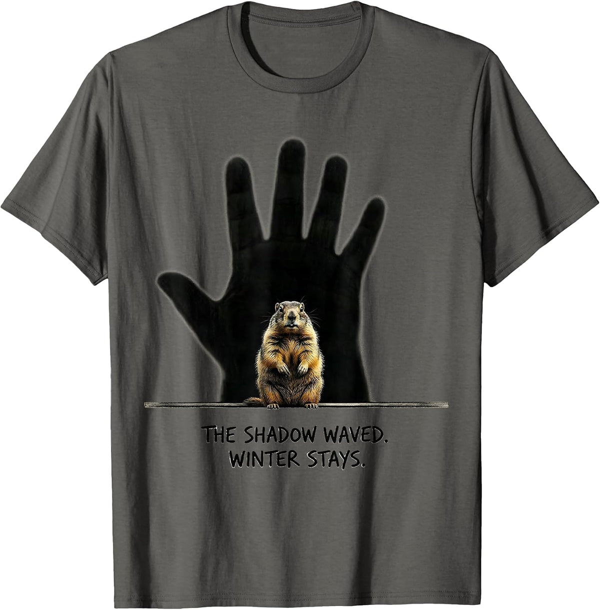 The Shadow Waved Winter Stays Funny Groundhog Day Vintage T-Shirt - Asphalt Grey