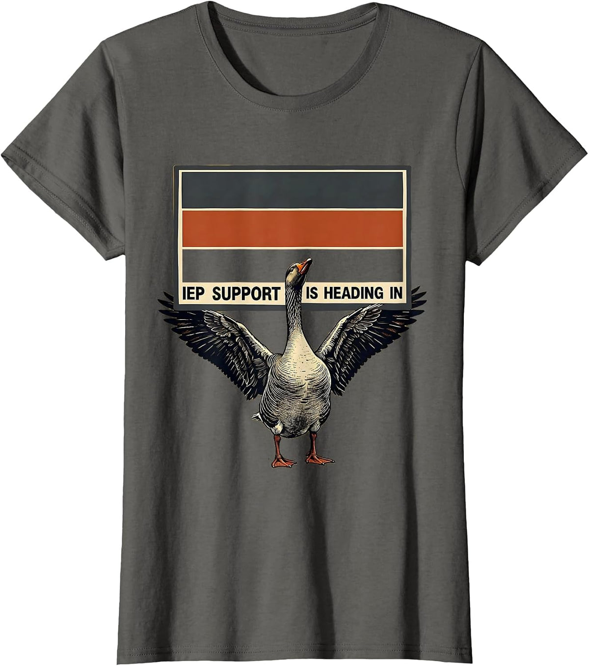 Women's IEP Support Is Heading In Silly Goose Special Education T-Shirt - Asphalt Grey