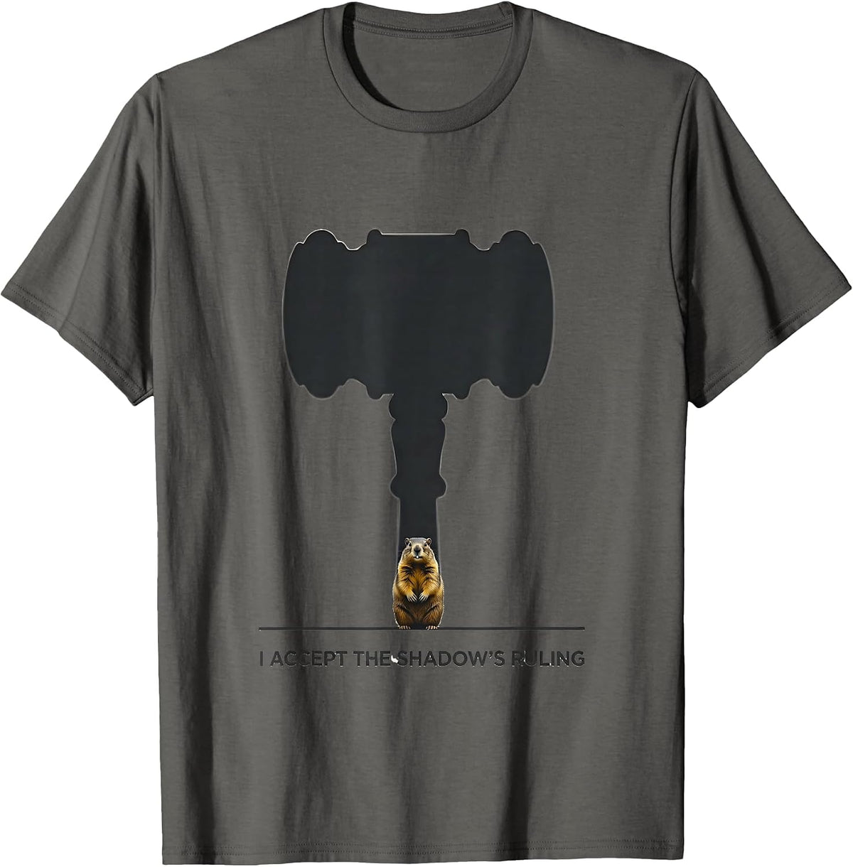 Men's I Accept The Shadow's Ruling Funny Groundhog Day Vintage T-Shirt - Asphalt Grey