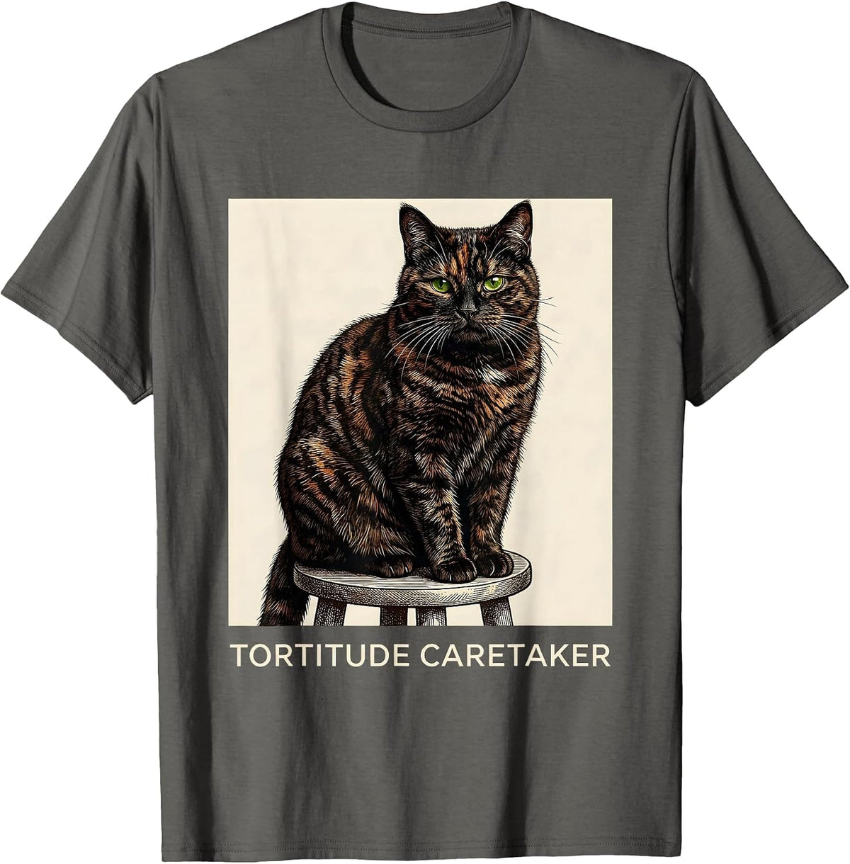 Tortitude Caretaker Funny Tortie Cat Lover Pet Owner Humor T-Shirt - Asphalt Grey