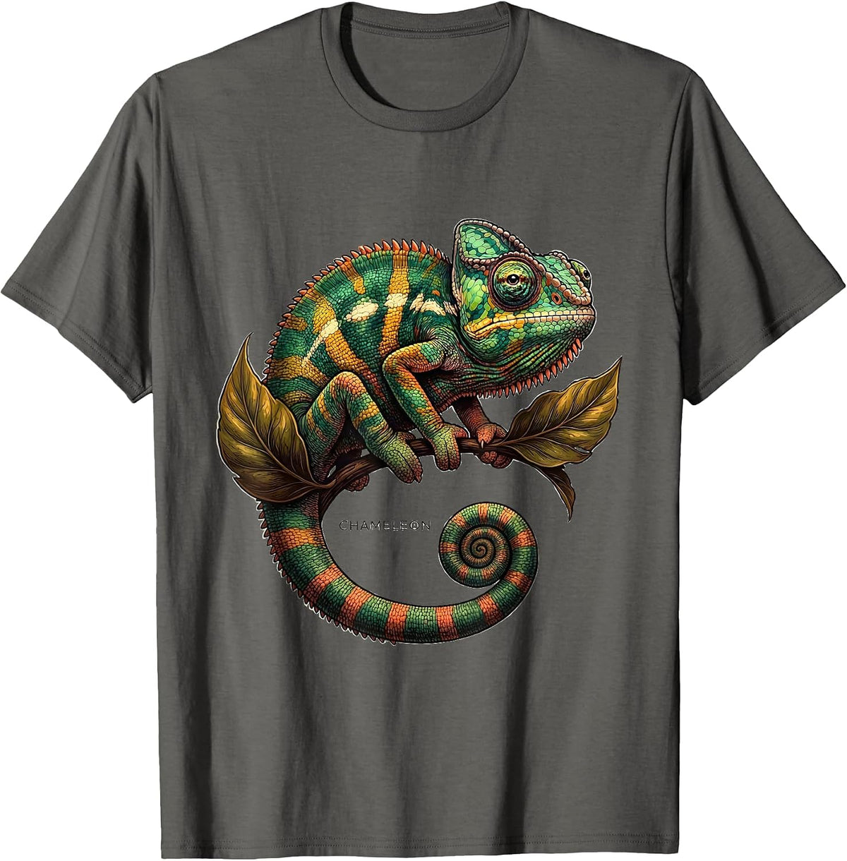 Chameleon Storybook Costume T-Shirt Halloween Animal T-Shirt - Asphalt Grey