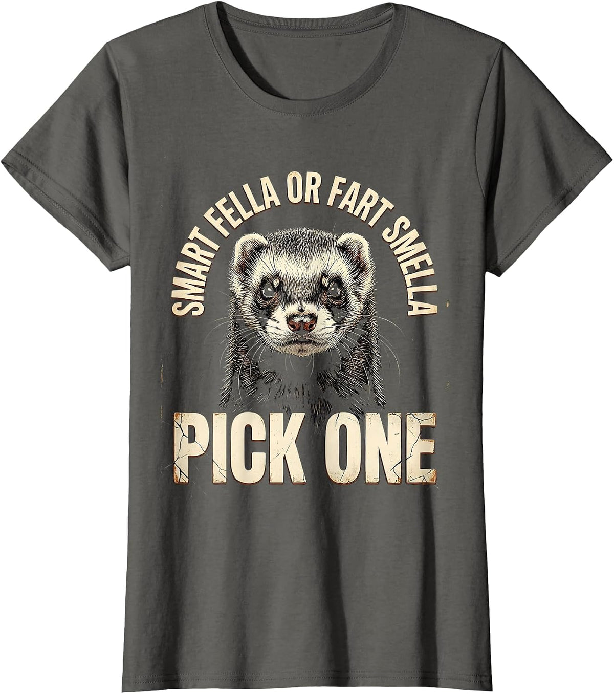 Women's Smart Fella Or Fart Smella Pick One Funny Ferret Meme T-Shirt - Asphalt Grey