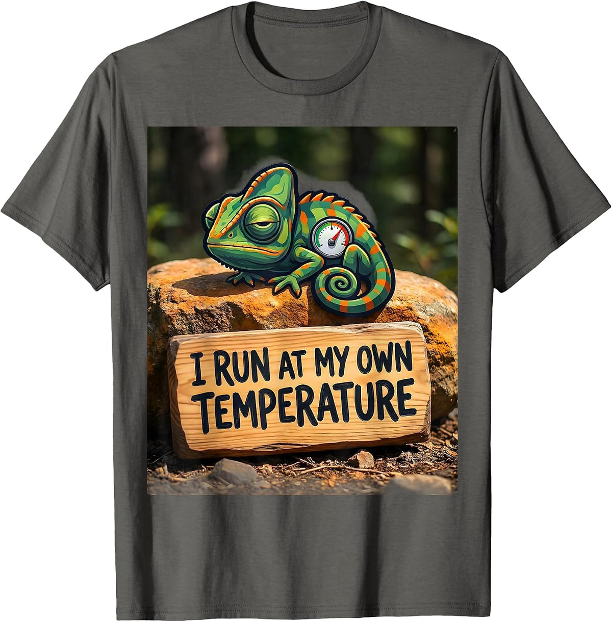 I Run At My Own Temperature Funny Autism Meme Autistic T-Shirt - Asphalt Grey