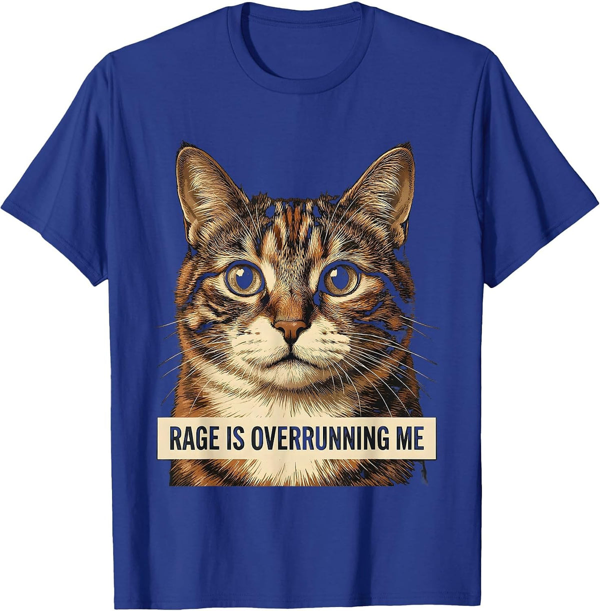 Rage Is Overrunning Me Funny Silly Staring Cat Meme Cat T-Shirt - Royal Blue