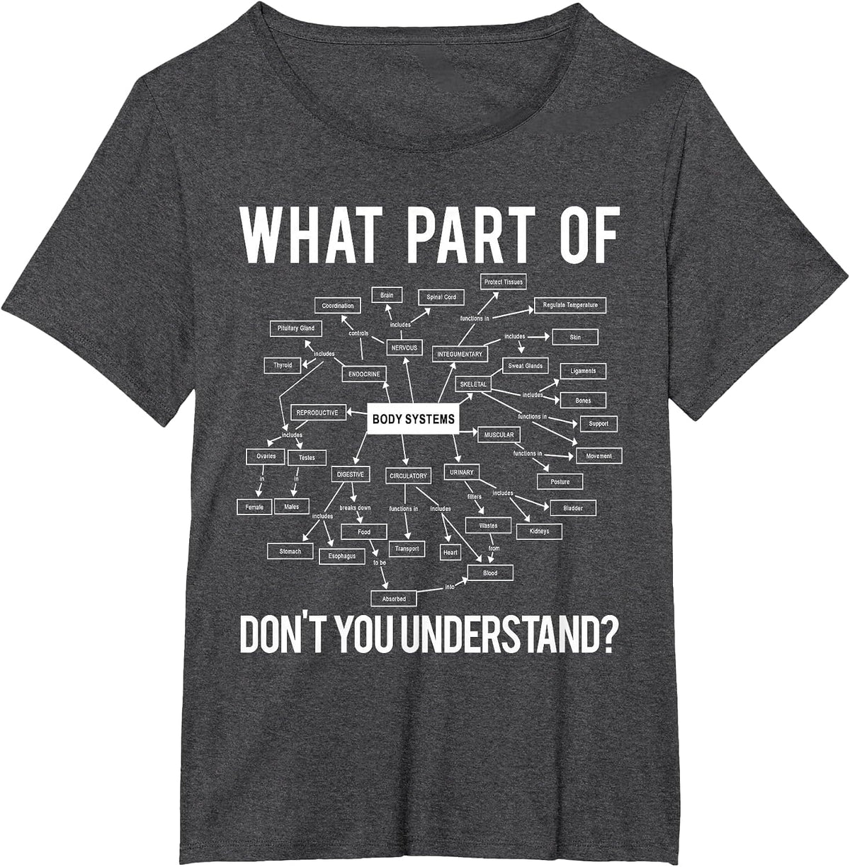 What Part of Don't You Understand Funny Anatomy Professor T-Shirt - Dark Heather Grey