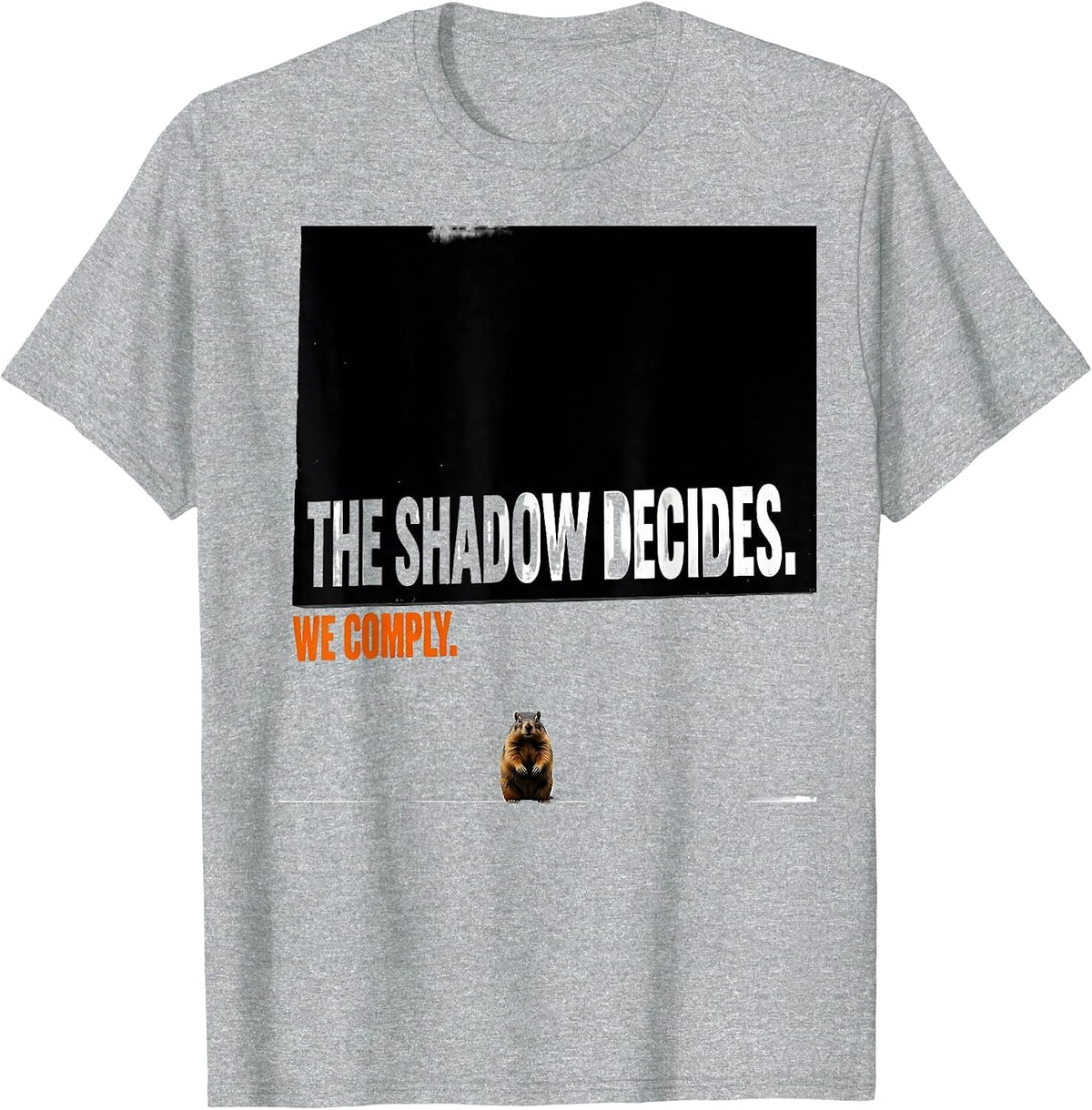 Men's The Shadow Decides We Comply Brutalist Humor Groundhog Day T-Shirt - Heather Grey