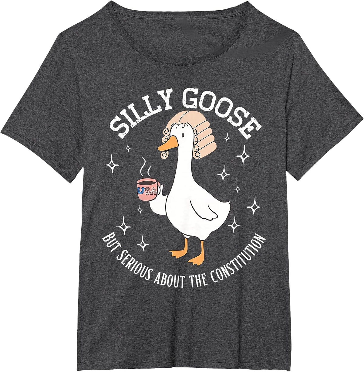 Silly Goose Constitution Funny History Teacher Middle School T-Shirt - Dark Heather Grey