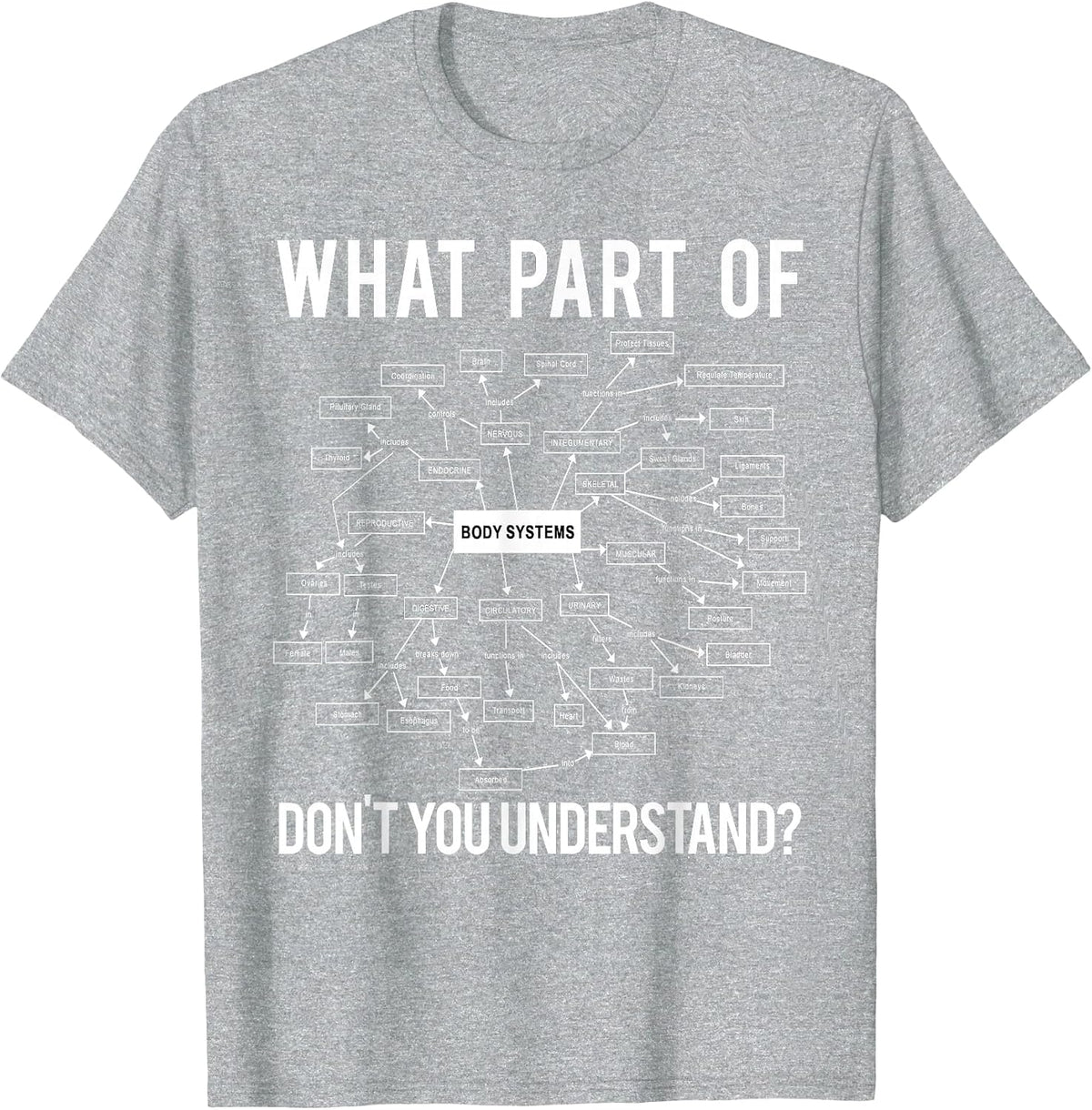 What Part of Don't You Understand Funny Anatomy Professor T-Shirt - Heather Grey