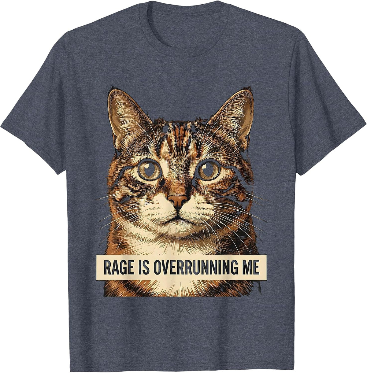 Rage Is Overrunning Me Funny Silly Staring Cat Meme Cat T-Shirt - Heather Blue