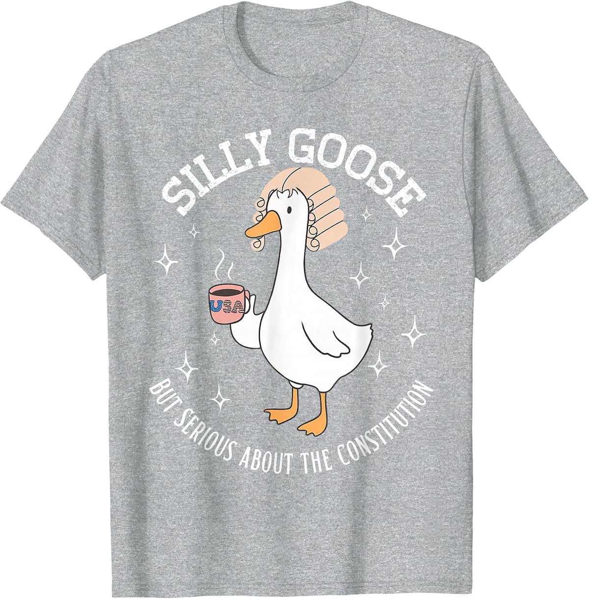 Silly Goose Constitution Funny History Teacher Middle School T-Shirt - Heather Grey