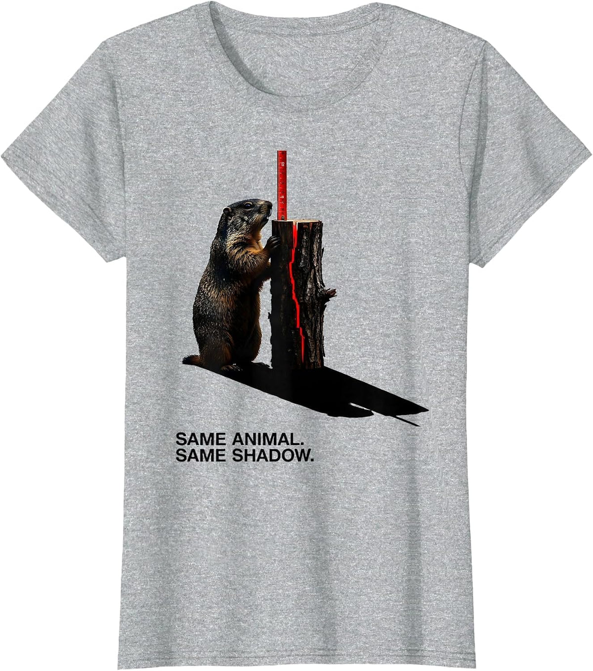 Same Animal Same Shadow Funny Groundhog Day Woodchuck Humor T-Shirt - Heather Grey