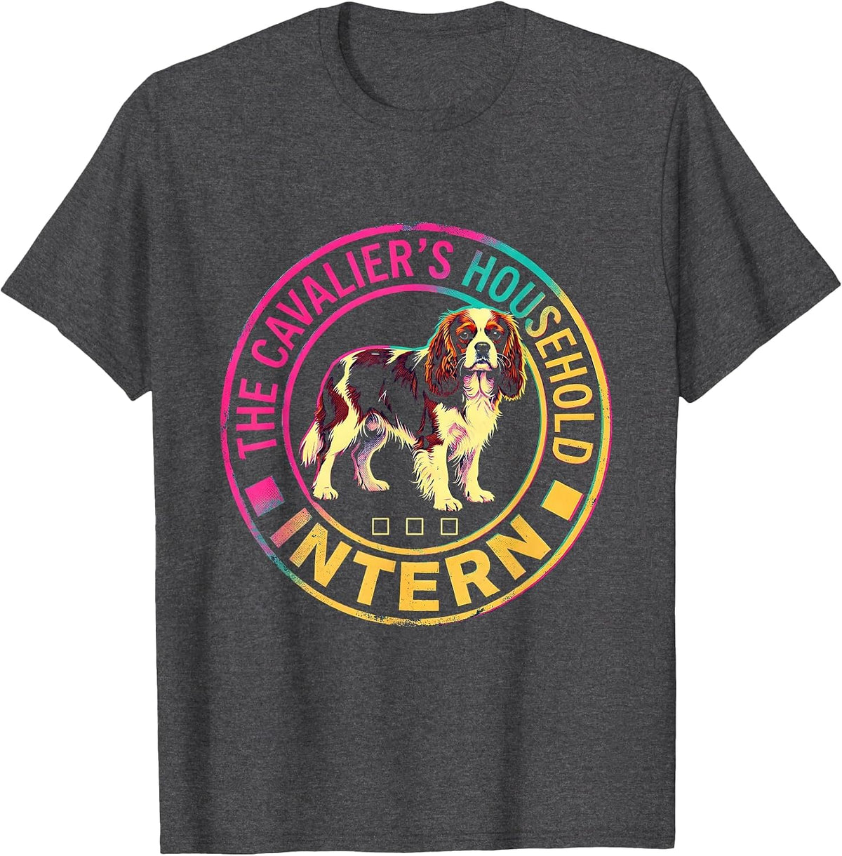The Cavalier's Household Intern Funny Cavalier King Charles T-Shirt - Dark Heather Grey