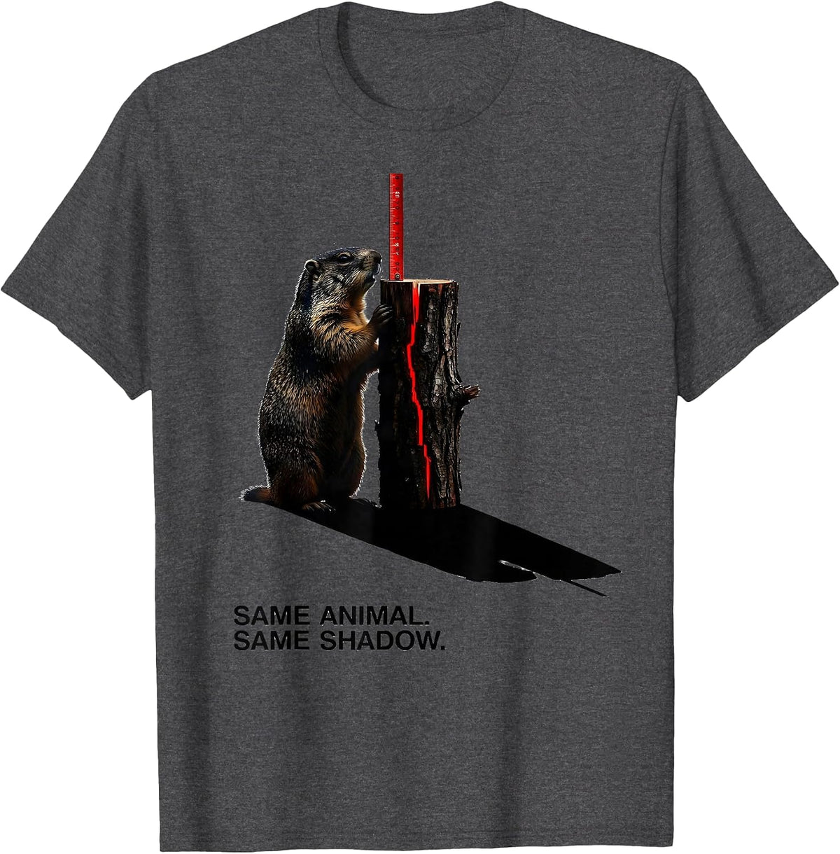 Same Animal Same Shadow Funny Groundhog Day Woodchuck Humor T-Shirt - Dark Heather Grey