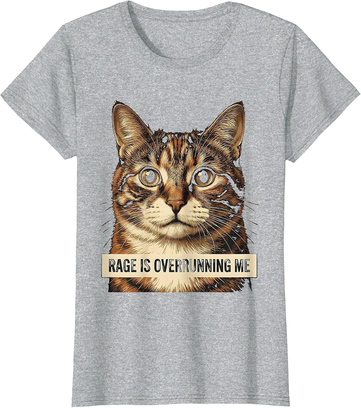 Rage Is Overrunning Me Funny Silly Staring Cat Meme Cat T-Shirt - Heather Grey