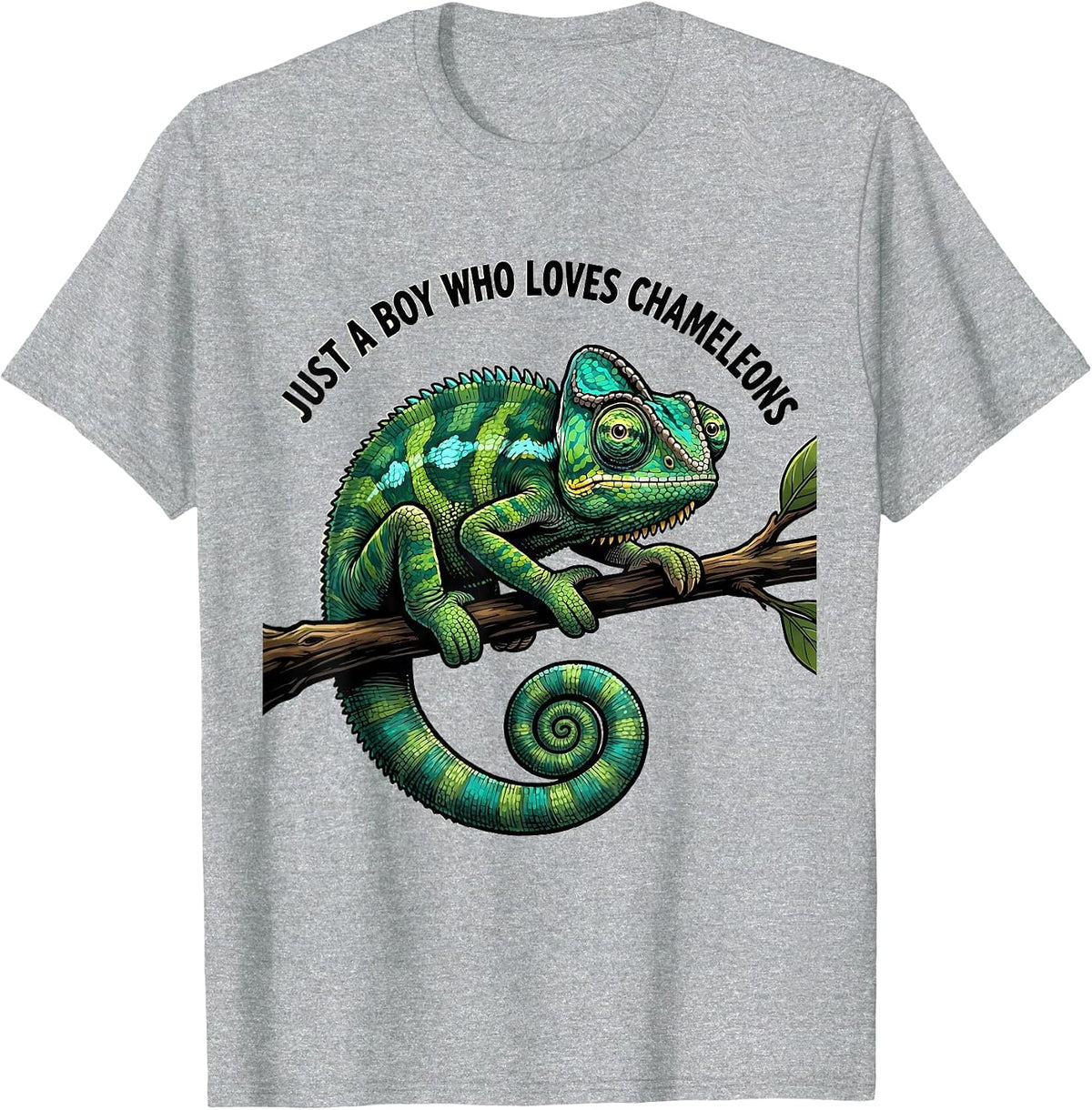 Men's Just A Boy Who Loves Chameleons Funny Reptile Lover Cartoon T-Shirt - Heather Grey