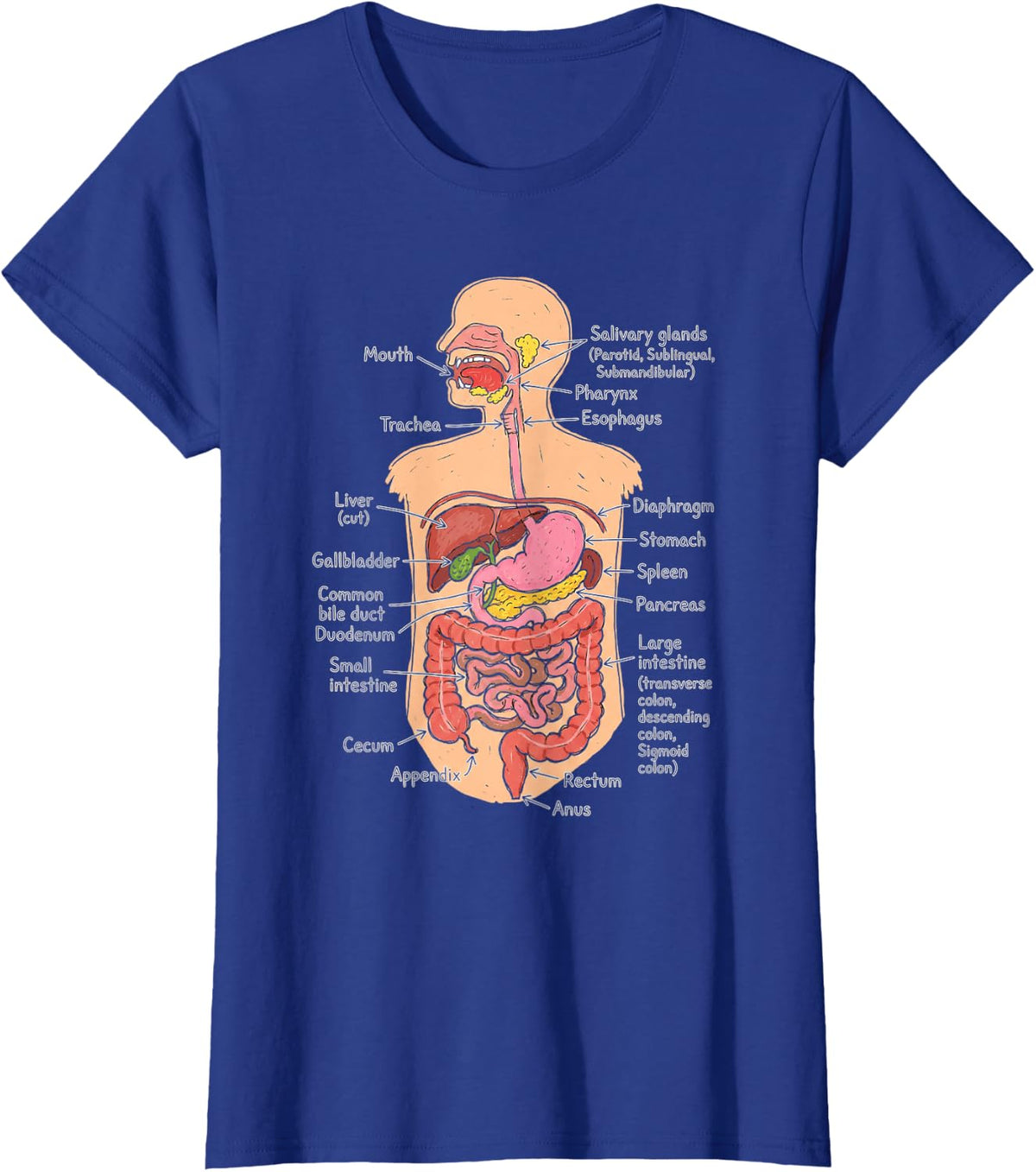 Human Digestive System Anatomy Chart Biology Diagram T-Shirt - Royal Blue