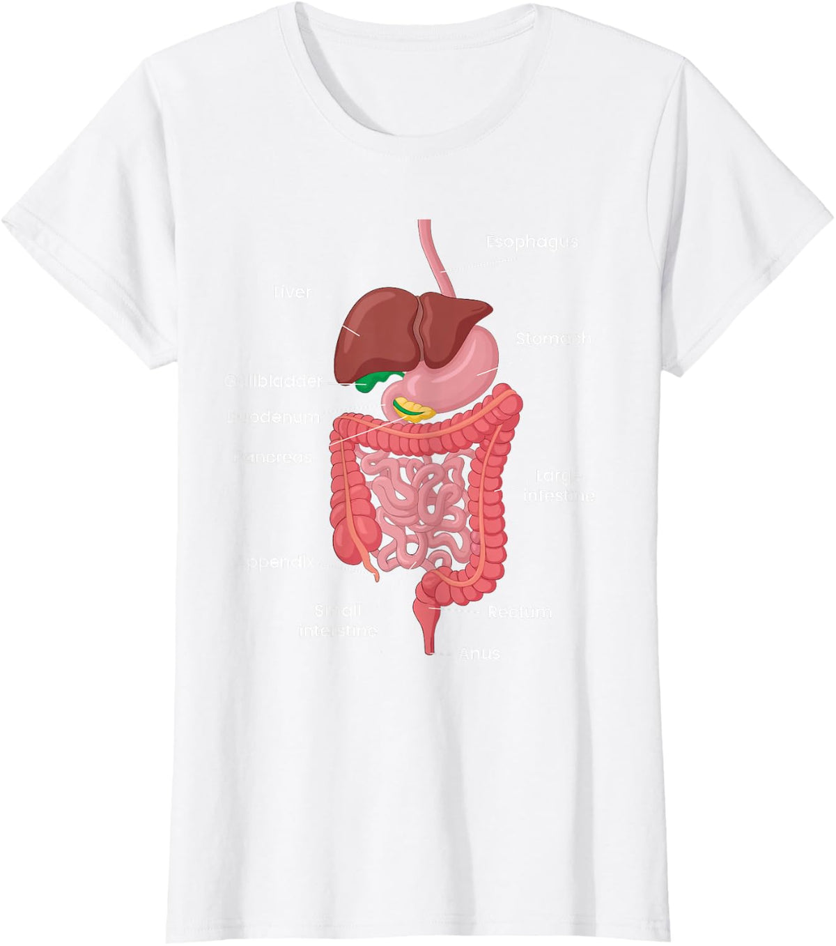 Biological Apparel Unisex-Adults Anatomy Digestive System T-Shirt Black Small Classic Crew Neck Short Sleeve T-Shirt - White