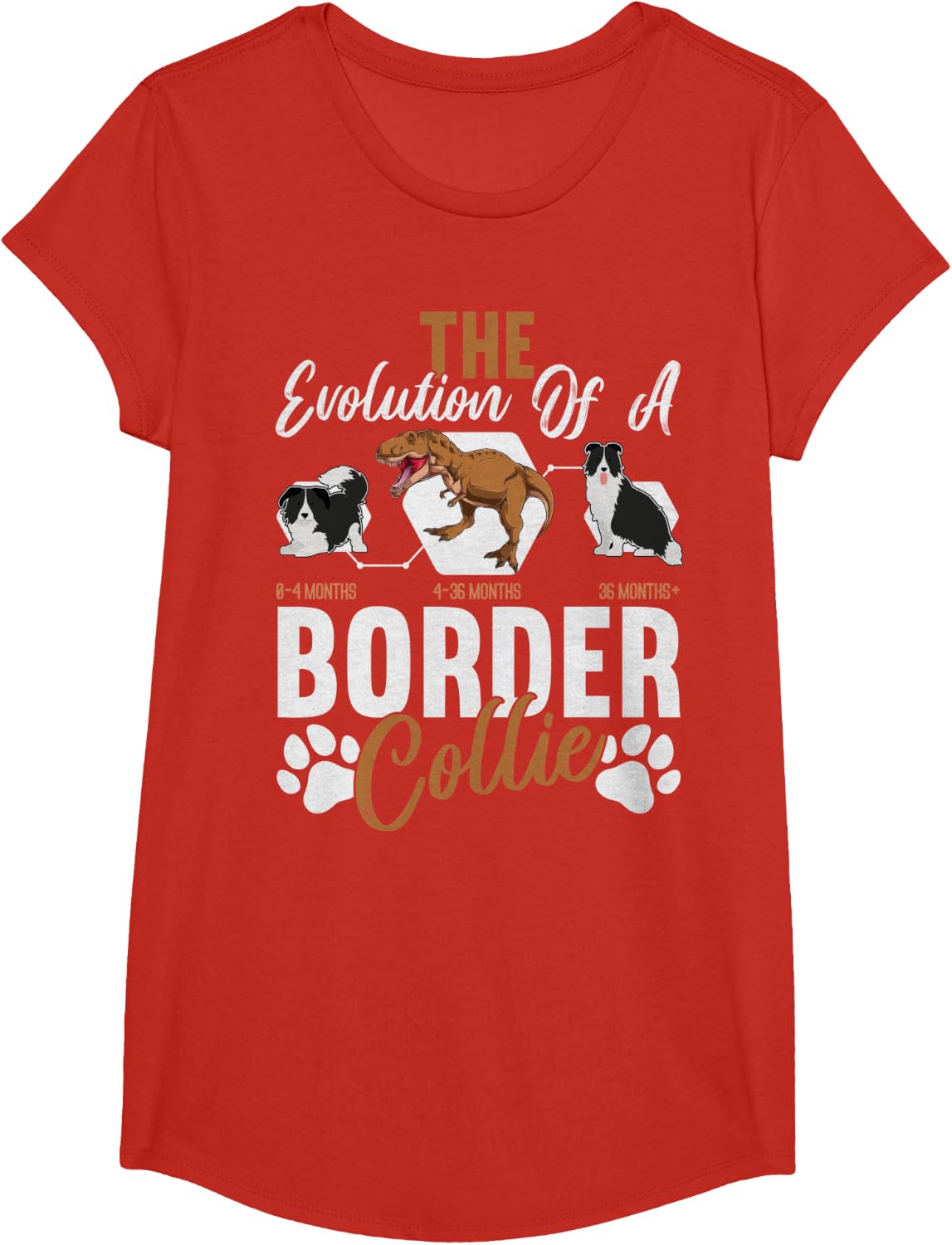The Evolution Of A Border Collie T-Shirt - Girls Red