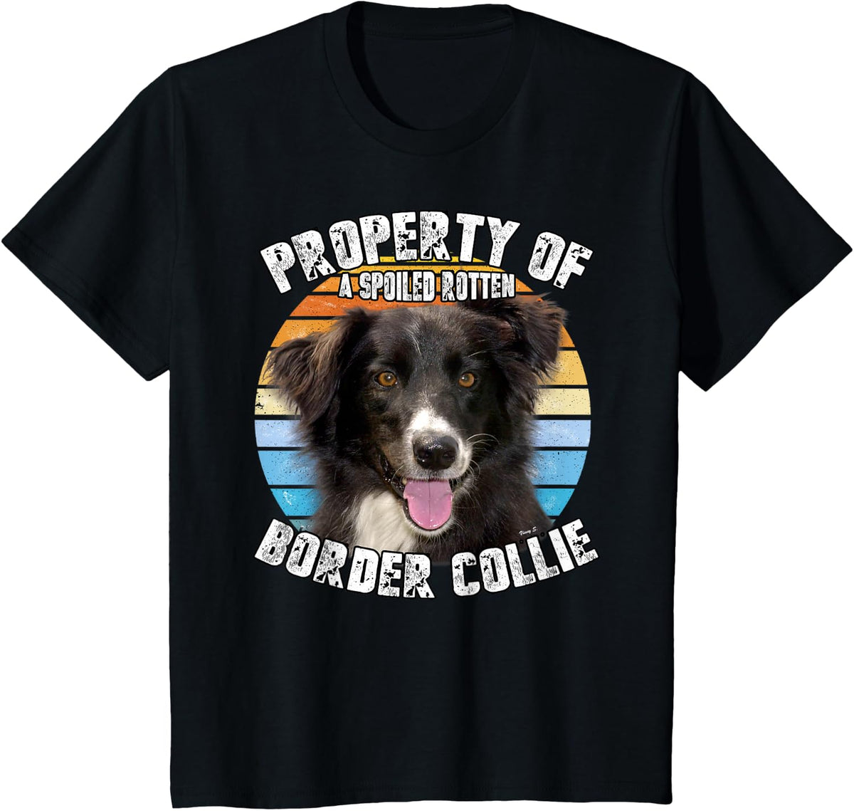 Border Collie Property Of T-Shirt - Black