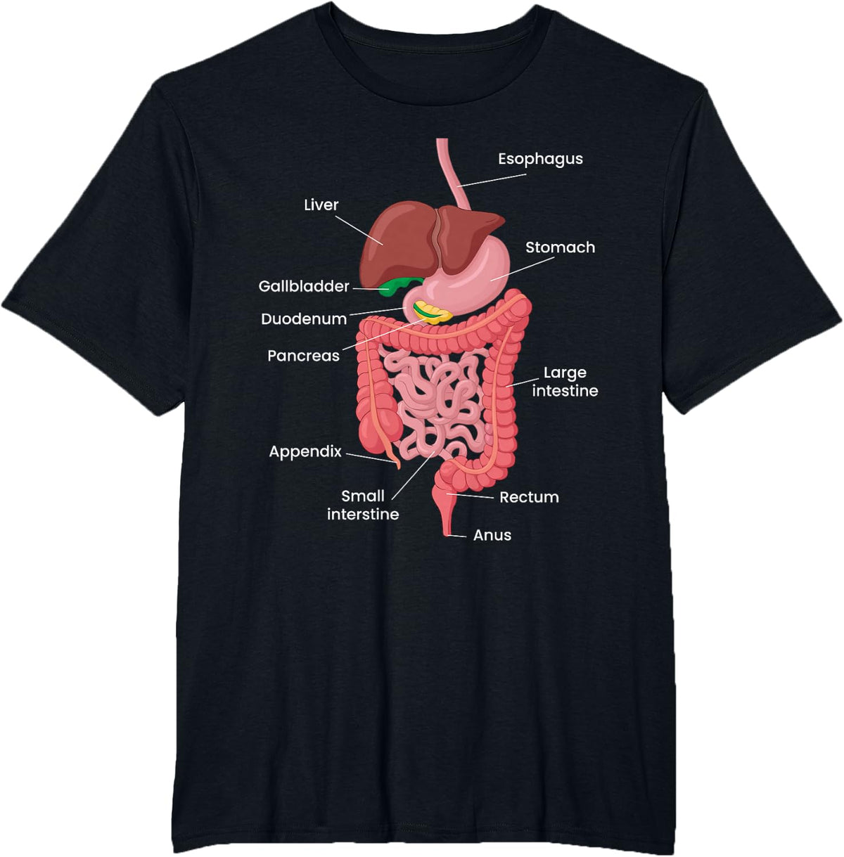 Biological Apparel Unisex-Adults Anatomy Digestive System T-Shirt Black Small Classic Crew Neck Short Sleeve T-Shirt - Black