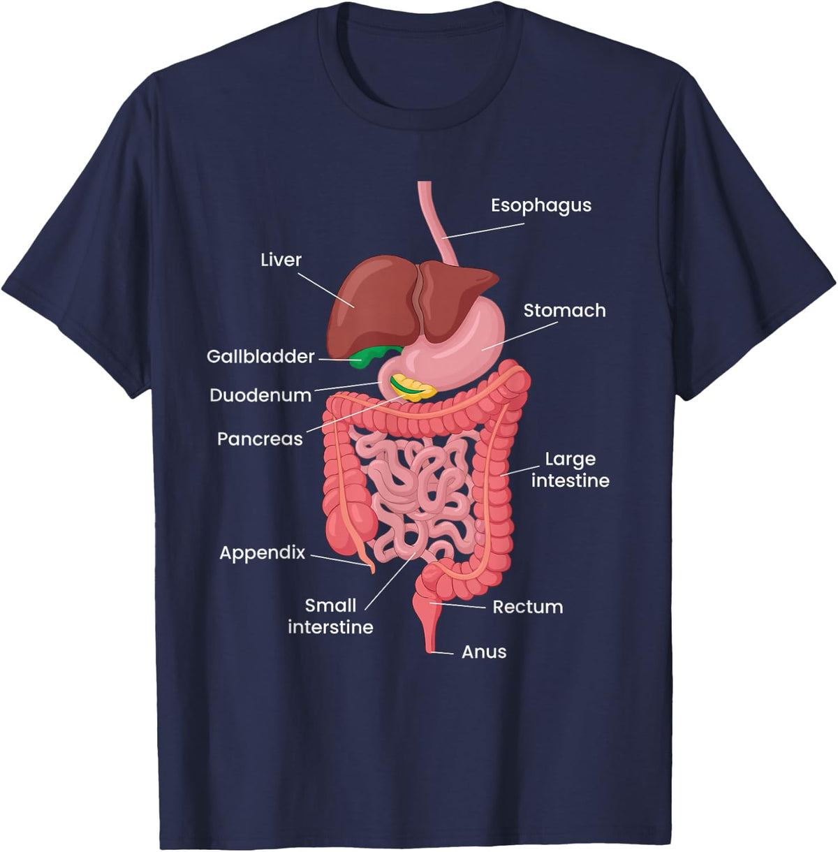 Biological Apparel Unisex-Adults Anatomy Digestive System T-Shirt Black Small Classic Crew Neck Short Sleeve T-Shirt - Navy