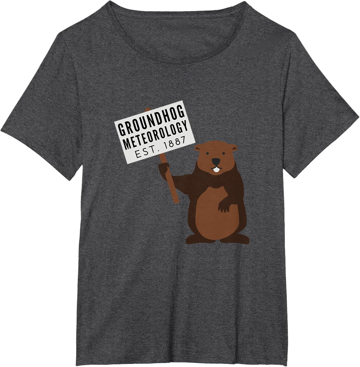 Groundhog Day Punxsutawney Phil Marmot Gift T-Shirt - Dark Heather Grey