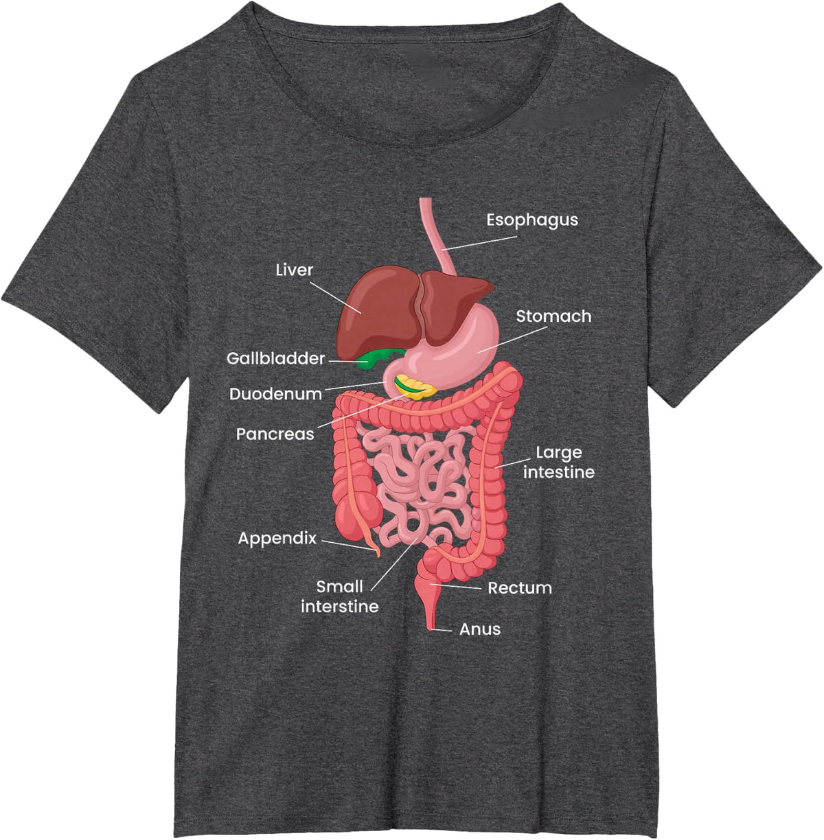 Biological Apparel Unisex-Adults Anatomy Digestive System T-Shirt Black Small Classic Crew Neck Short Sleeve T-Shirt - Dark