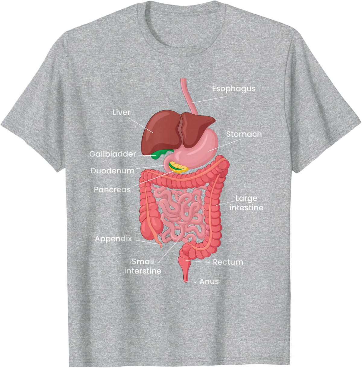 Biological Apparel Unisex-Adults Anatomy Digestive System T-Shirt Black Small Classic Crew Neck Short Sleeve T-Shirt -