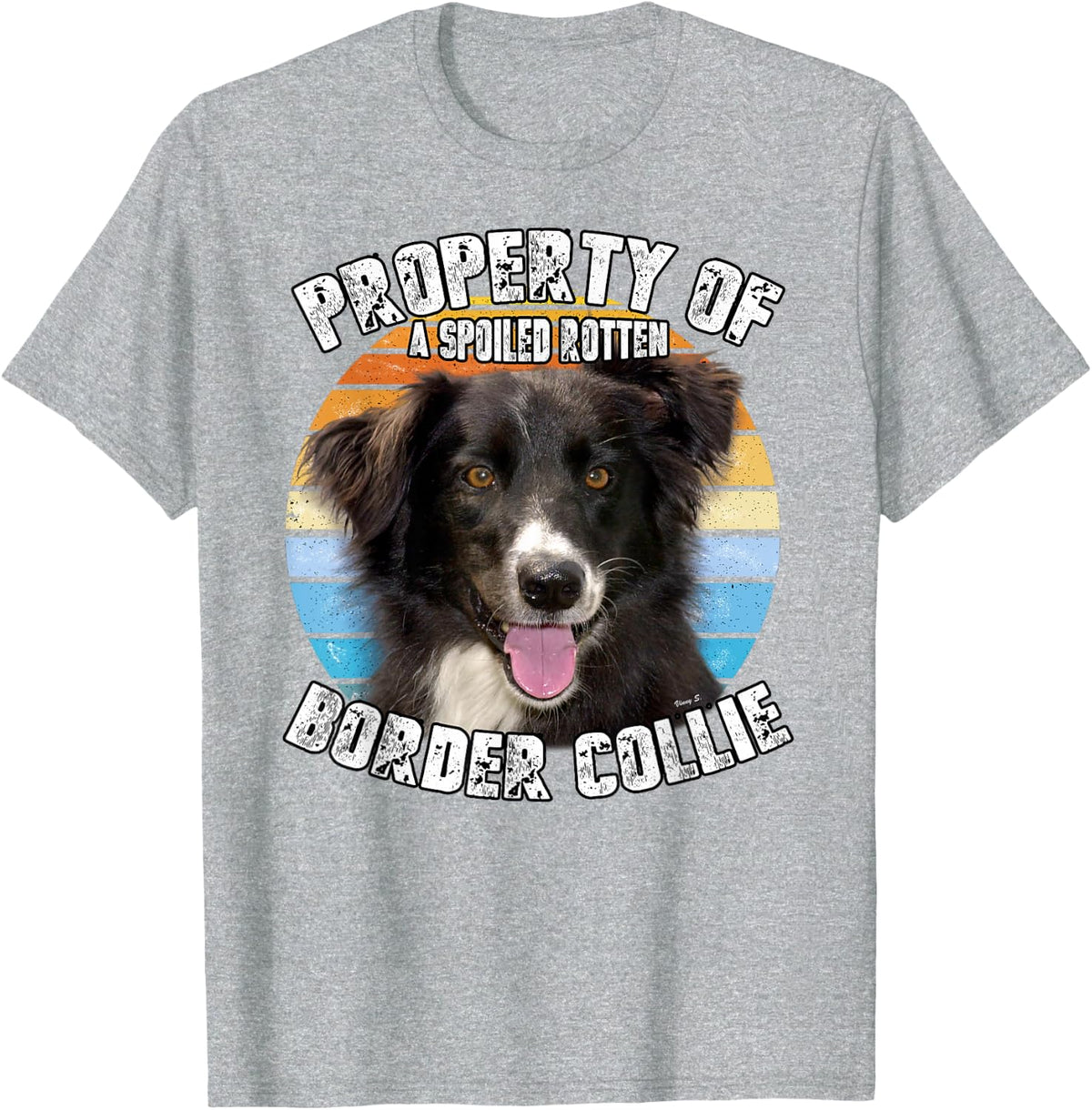 Border Collie Property Of T-Shirt - Heather Grey